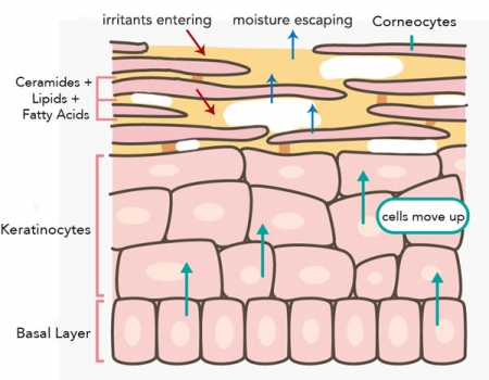 Unconventional Skincare Advice: Stop Exfoliating 